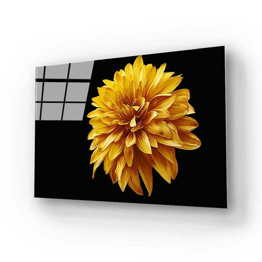 Yellow Chrysanthemum with Black Background Glass Wall Art - DIY - CreoGlass®