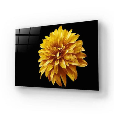Yellow Chrysanthemum With Black Background Glass Wall Art - DIY - CreoGlass®
