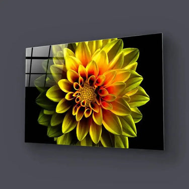 Yellow Dahlia Glass Wall Art - Landscape Sizes - DIY - CreoGlass®