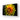 Yellow Dahlia Glass Wall Art - Landscape Sizes - DIY - CreoGlass®
