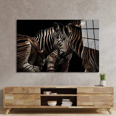 Zebra Family Close Up Black Background Glass Wall Art - DIY - CreoGlass®