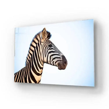 Zebra Portrait Blue Sky Background Glass Wall Art - DIY - CreoGlass®
