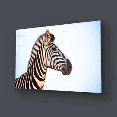 Zebra Portrait Blue Sky Background Glass Wall Art - DIY - CreoGlass®