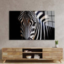 Zebra Spotlight Black Background Glass Wall Art - DIY - CreoGlass®