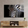 Zebra Spotlight Black Background Glass Wall Art - DIY - CreoGlass®
