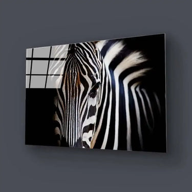 Zebra Spotlight Black Background Glass Wall Art - DIY - CreoGlass®