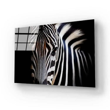 Zebra Spotlight Black Background Glass Wall Art - DIY - CreoGlass®