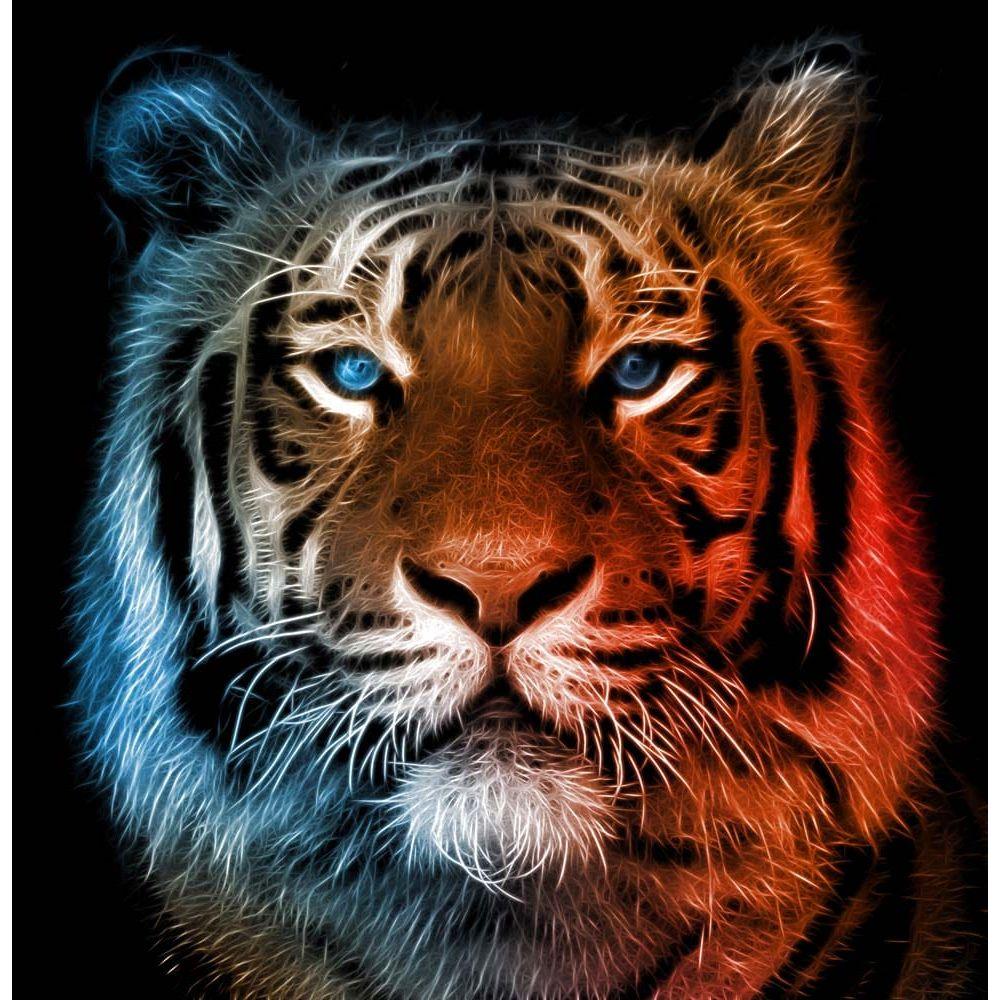 Fire and Ice Tiger Printed Glass Splashback - DIY - CreoGlass®