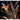 Orange Lily Printed Glass Splashback - DIY - CreoGlass®
