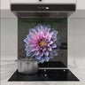 Purple Dahlia Printed Glass Splashback - DIY - CreoGlass®