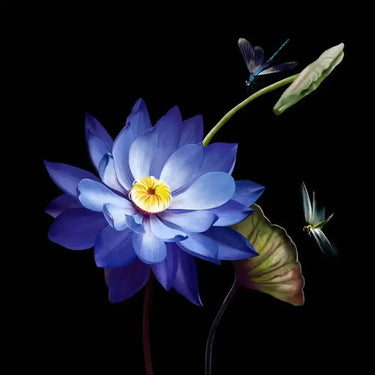 Purple Lotus Printed Glass Splashback - DIY - CreoGlass®