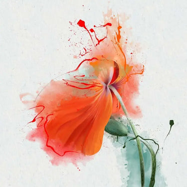 Red Flower Painting Printed Glass Splashback - DIY - CreoGlass®