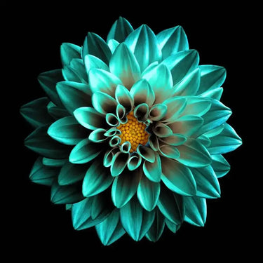 Turquoise Dahlia Printed Glass Splashback - DIY - CreoGlass®