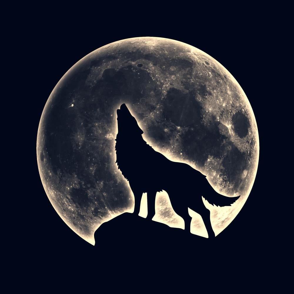 Wolf Under the Moon Printed Glass Splashback - DIY - CreoGlass®